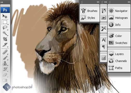 Lion Sketch