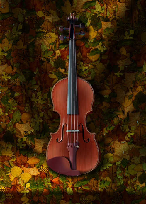 Violin